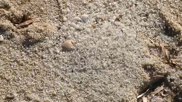 Sardegna: la sabbia di Is Arutas torna a casa. Riportati 600 chili di quarzi Sardegna: la sabbia di Is Arutas torna a casa. Riportati 600 chili di quarzi