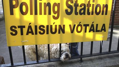 Впервые на выборах в Ирландии может победить партия "Шинн Фейн"