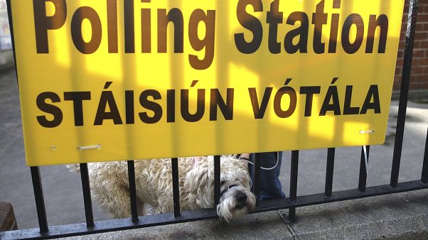 A dog waits for his owner as voting gets under way in the general election in Dublin, Ireland, Saturday, Feb. 8, 2020 A dog waits for his owner as voting gets under way in the general election in Dublin, Ireland, Saturday, Feb. 8, 2020