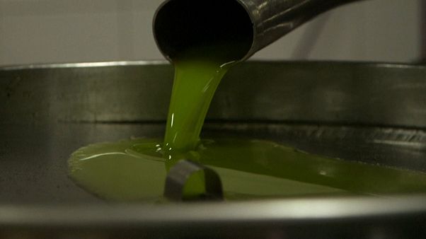 Cipro: "l'olio per la pace" contro le barriere e la burocrazia Cipro: "l'olio per la pace" contro le barriere e la burocrazia