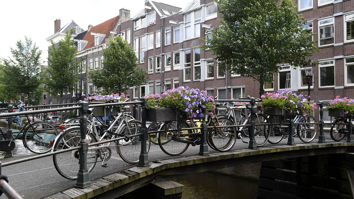 هولندا في المركز الثاني أوروبياً لعدد وفيّات مستخدمي الدرّاجات