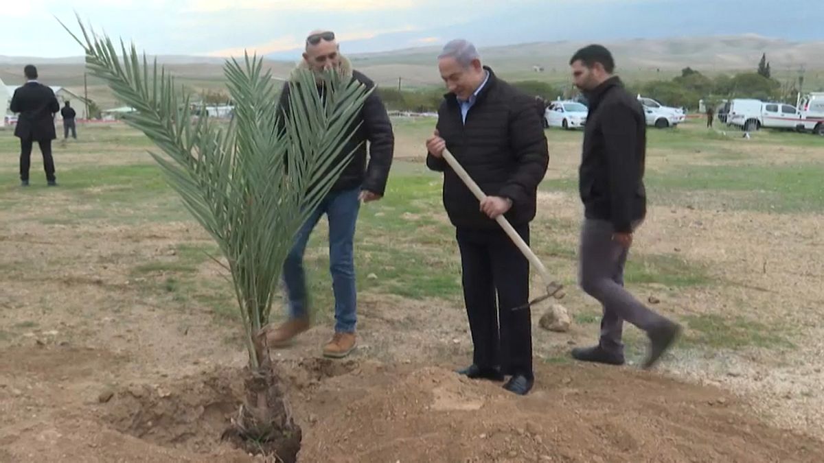 رئيس الوزراء الإسرائيلي بنيامين نتنياهو يزرع شجرة في مستوطنة إسرائيلية في غور الأردن 