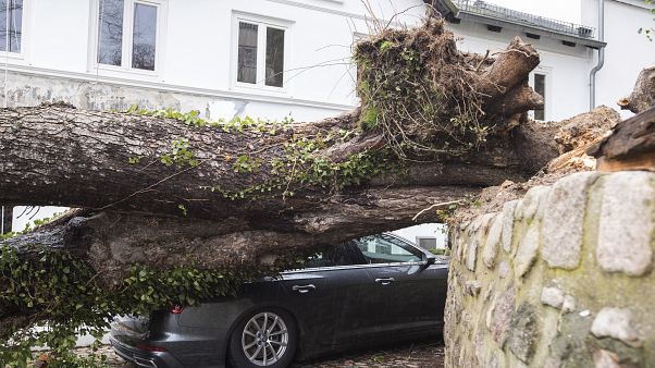 La tormenta Ciara barre el centro y el norte de Europa dejando siete muertos La tormenta Ciara barre el centro y el norte de Europa dejando siete muertos