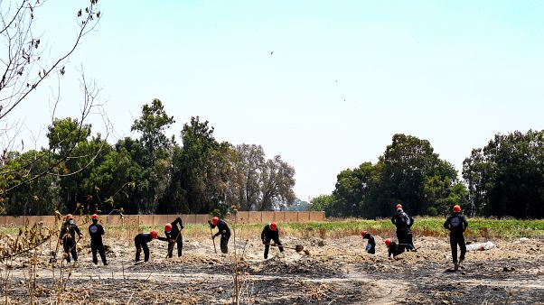 Suriye'de toplu mezarlarda insan kalıntıları aranıyor Suriye'de toplu mezarlarda insan kalıntıları aranıyor