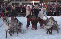 Carrera de renos de Jokkmokk, el evento más apasionante de Laponia