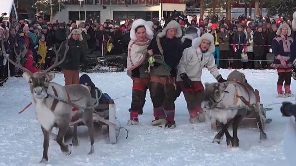 Carrera de renos de Jokkmokk, el evento más apasionante de Laponia Carrera de renos de Jokkmokk, el evento más apasionante de Laponia