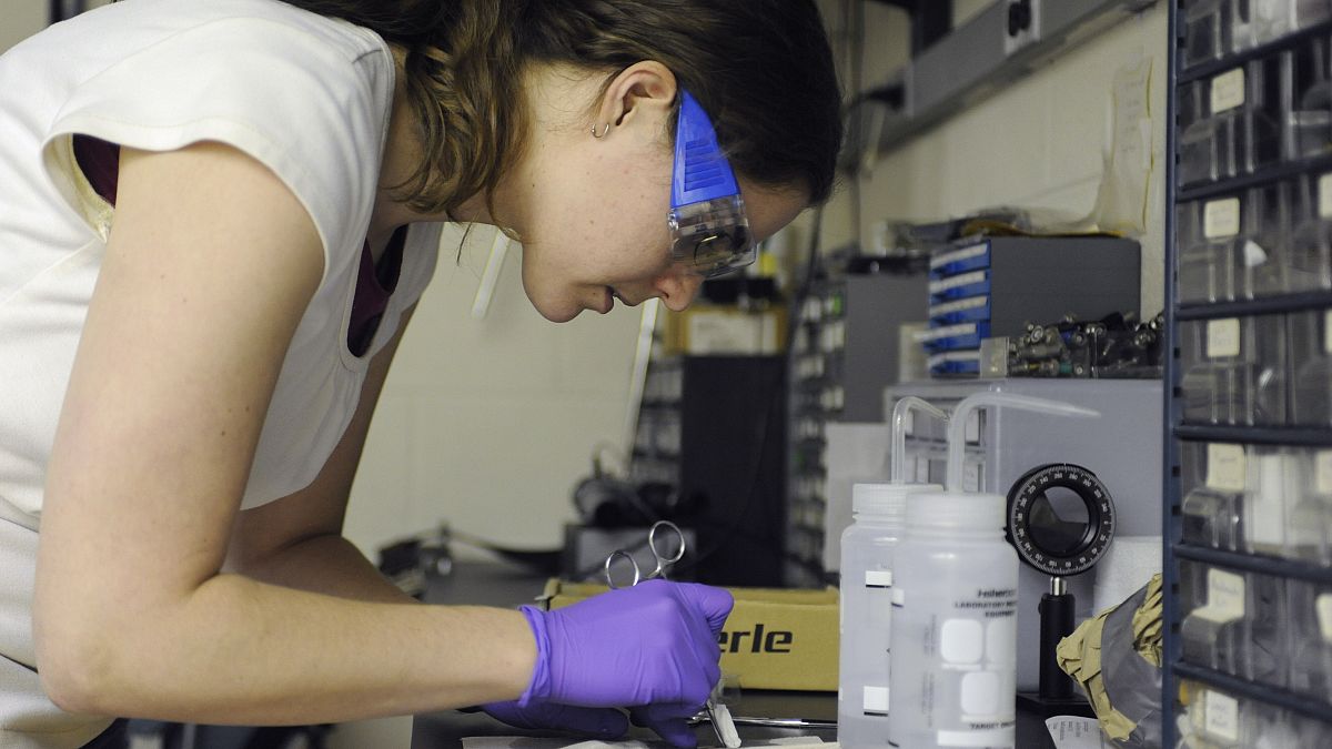 Yale Üniversitesi'nin kimya laboratuvarında çalışan bir kadın öğrenci