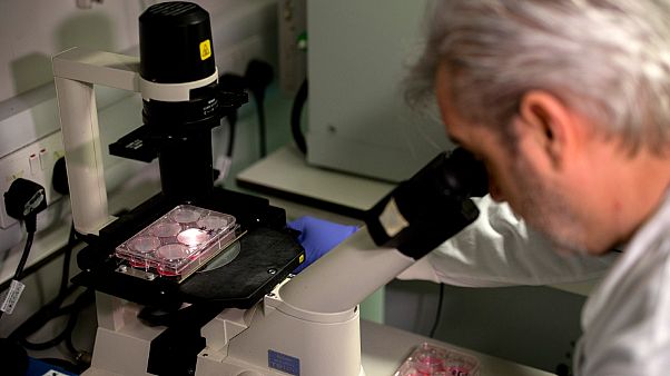 Un des membres d'une équipe de scientifiques britanniques travaillant sur un vaccin pour le coronavirus 2019-nCoV, à Londres le 10 février 2020. Un des membres d'une équipe de scientifiques britanniques travaillant sur un vaccin pour le coronavirus 2019-nCoV, à Londres le 10 février 2020.