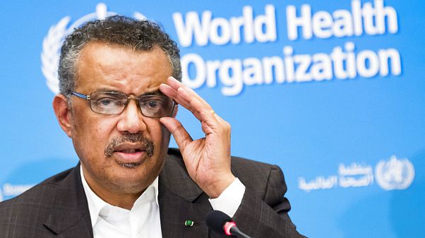 La OMS señala que todavía puede ser prevenida una pandemia mundial La OMS señala que todavía puede ser prevenida una pandemia mundial