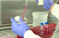 Coronavirus: Das Rennen um den Impfstoff