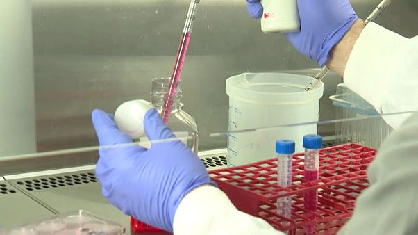 Coronavirus: Das Rennen um den Impfstoff Coronavirus: Das Rennen um den Impfstoff