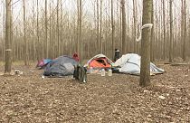 Μετανάστες στα δάση της Ουγγαρίας