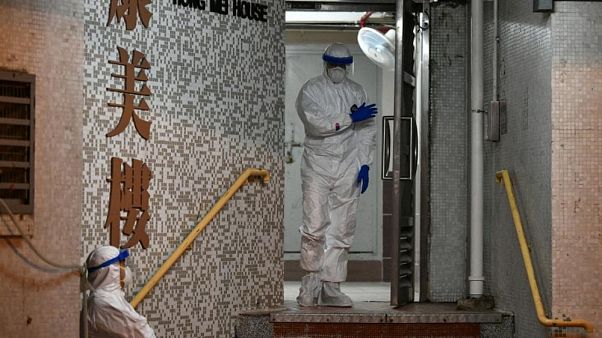 Medical personnels wearing protective suits wait near a block's entrance in the ground of a residential estate, in Hong Kong, on February 11, 2020 Medical personnels wearing protective suits wait near a block's entrance in the ground of a residential estate, in Hong Kong, on February 11, 2020