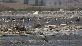 El río Chillón de Lima excede en 12 veces los límites de contaminación