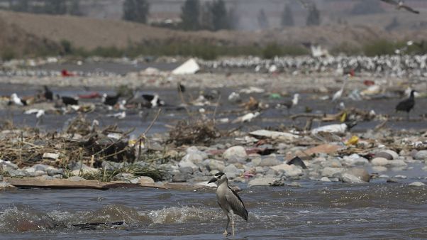 El río Chillón de Lima excede en 12 veces los límites de contaminación El río Chillón de Lima excede en 12 veces los límites de contaminación