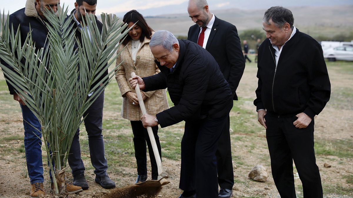 رئيس الوزراء الإسرائيلي بنيامين نتنياهو يزرع شجرة في مستوطنة قرب أريحا في الضفة الغربية، 10 فبراير 2020