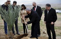 رئيس الوزراء الإسرائيلي بنيامين نتنياهو يزرع شجرة في مستوطنة قرب أريحا في الضفة الغربية، 10 فبراير 2020