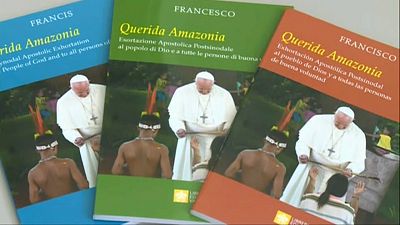 Enttäuschung über "Querida Amazonia": Papst gegen Öffnung des Zölibats