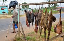 تجارة لحوم الخفافيش والجرذان والأفاعي منتعشة في إندونيسيا رغم المخاوف من فيروس كورونا