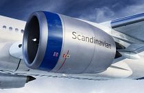 Mi skandináv? – egy légitársaság vitája a populistákkal a történelemről és kultúráról