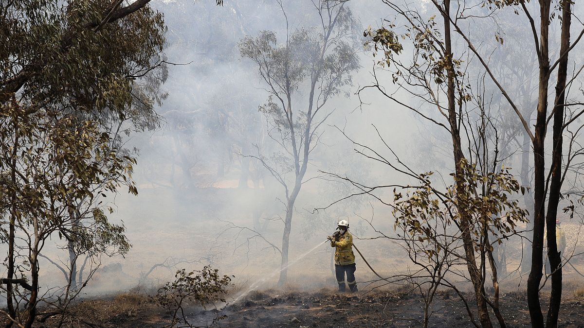 نهاية أزمة الحرائق في ولاية نيو ساوث ويلز الأسترالية