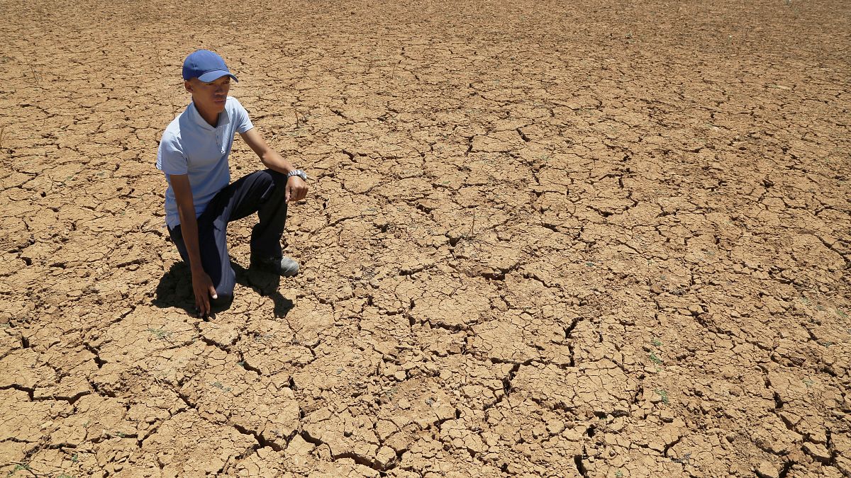 A South African farmer in a cracked bed of a water in November 2019 as the country sweltered under one of the worst droughts in decades.