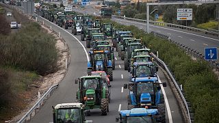 Испания: власти готовы поддержать фермеров 
