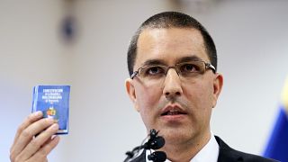 Venezuela Dışişleri Bakanı Jorge Arreaza