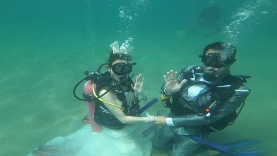Deeply in love: underwater wedding on Valentine's Day in Thailand