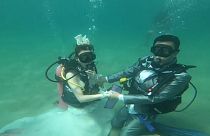 En Thaïlande, pour la Saint-Valentin, on se marie sous l'eau