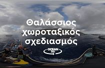 Ocean