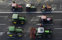 İspanya'nın üçüncü büyük kentinde çiftçiler traktörleri ile sokağa çıktı