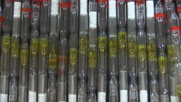 dana'da 314 tüp kobra yılanı zehri ele geçirildi dana'da 314 tüp kobra yılanı zehri ele geçirildi