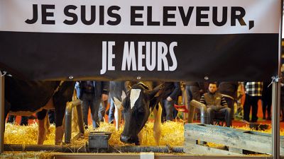  "Breves de Bruxelas": Corte na PAC terá impacto na agricultura familiar