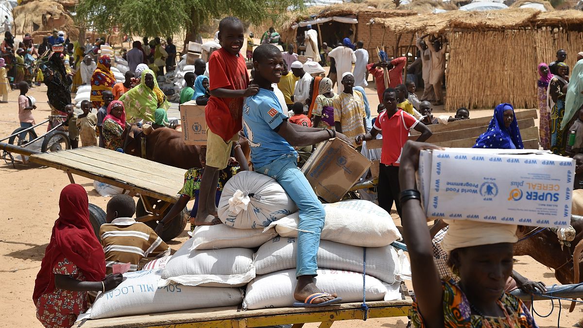 النيجر: 20 قتيلا في حادث تدافعٍ أثناء توزيع مواد غذائية على الأهالي (مصادر طبية)