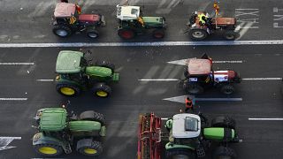 Los agricultores asisten a una demostración con sus tractores para exigir precios más justos por sus productos el 14 de febrero de 2020 en Valencia