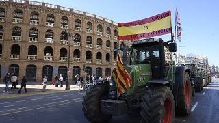 Why are Spanish farmers protesting against low prices?