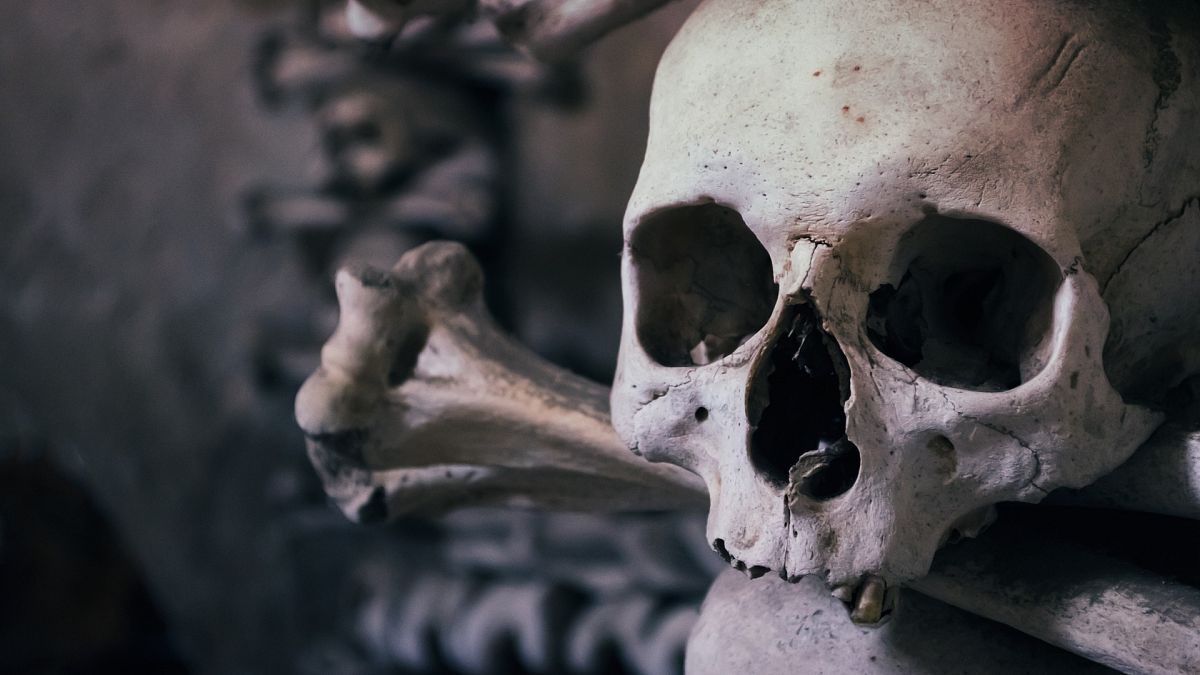 В Бельгии раскопали стены из человеческих костей и черепов