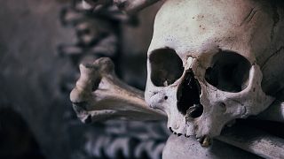 В Бельгии раскопали стены из человеческих костей и черепов
