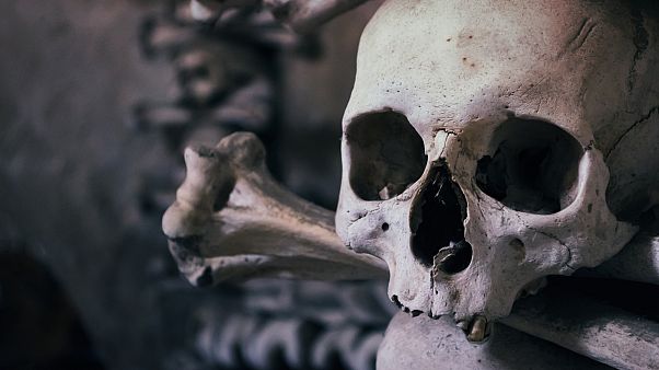 В Бельгии раскопали стены из человеческих костей и черепов В Бельгии раскопали стены из человеческих костей и черепов
