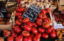 Die französischen Behörden haben vor einem möglichen Fall des ToBRFV-Virus gewarnt, der Tomaten, Paprika und Chili befällt.