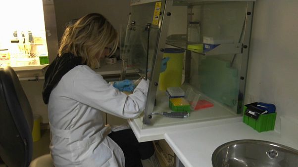 Coronavírus: da recolha de amostra até ao diagnóstico Coronavírus: da recolha de amostra até ao diagnóstico