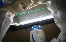 Koronavirüse aşı bulunması için çalışmalar devam ediyor