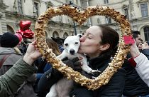 الكلاب قادرة على الحب