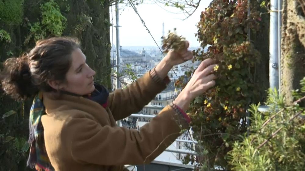 L'agriculture urbaine se développe à Paris