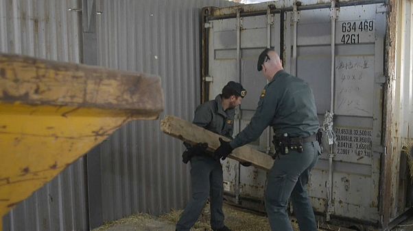 La Guardia Civil desmantela una fábrica subterránea de tabaco y salva la vida a seis personas La Guardia Civil desmantela una fábrica subterránea de tabaco y salva la vida a seis personas