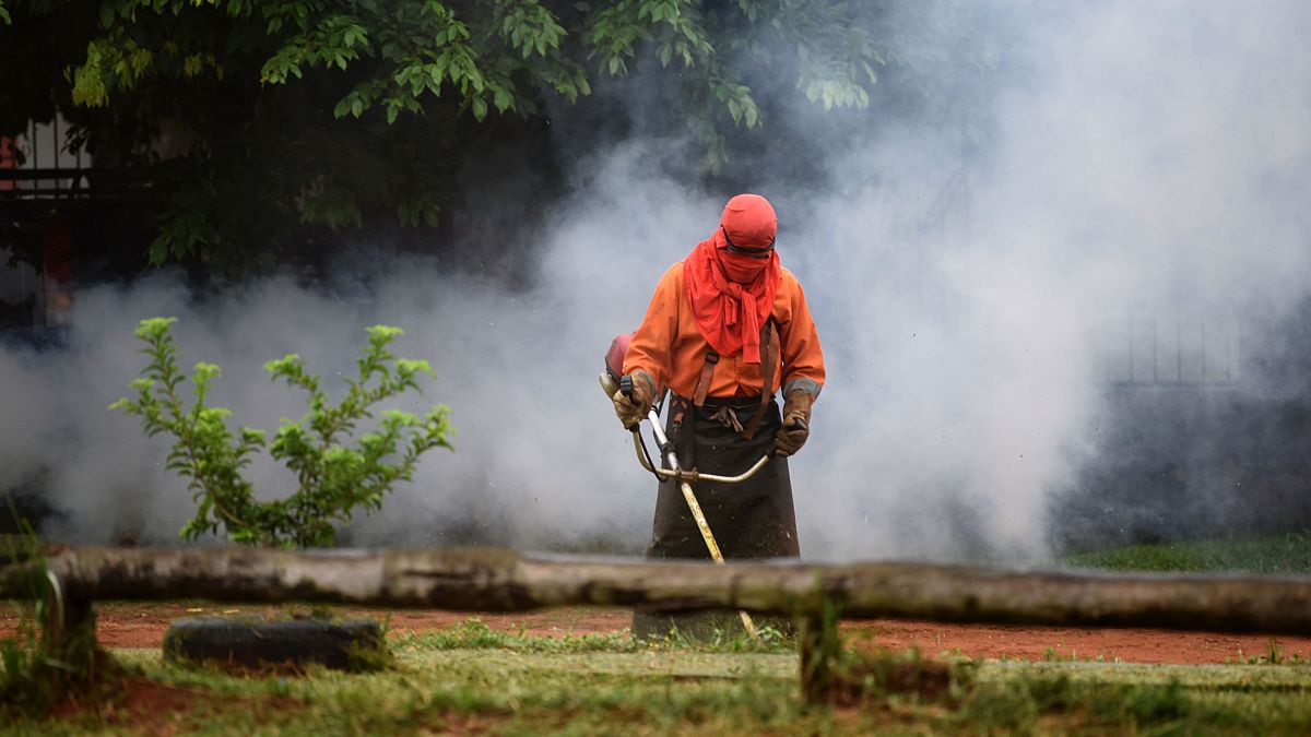 Un trabajador municipal corta la hierba durante una operación de fumigación contra el mosquito que puede propagar el dengue- en San Lorenzo, Paraguay, 