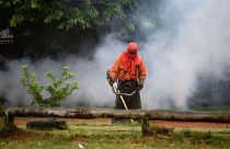 Un trabajador municipal corta la hierba durante una operación de fumigación contra el mosquito que puede propagar el dengue- en San Lorenzo, Paraguay,