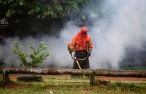 La lotta silenziosa del Sud America contro la dengue: impennata di casi nel 2019