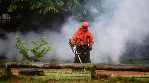 La lotta silenziosa del Sud America contro la dengue: impennata di casi nel 2019 La lotta silenziosa del Sud America contro la dengue: impennata di casi nel 2019